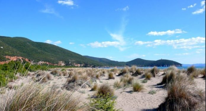 Parco dell' Uccellina: itinerari tra il verde e il mare