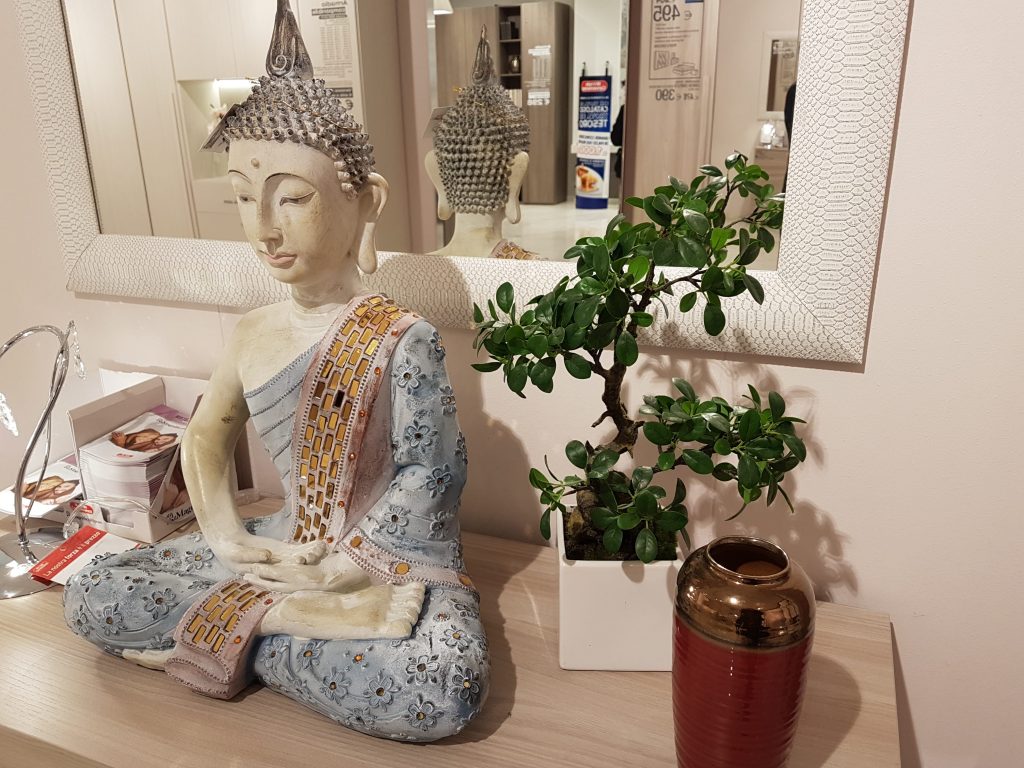 Bonsai stili tradizioni e prezzi