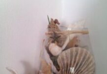 Conchiglie: come realizzare delle eleganti decorazioni Decorazioni con le conchiglie