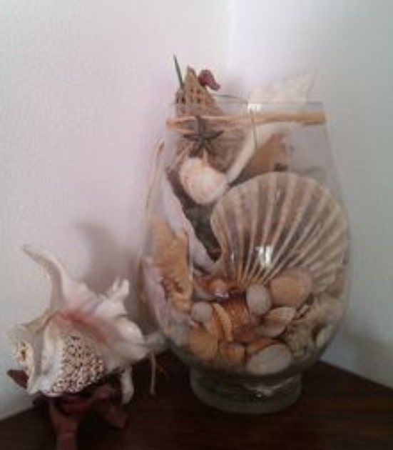 Decorazioni con le conchiglie