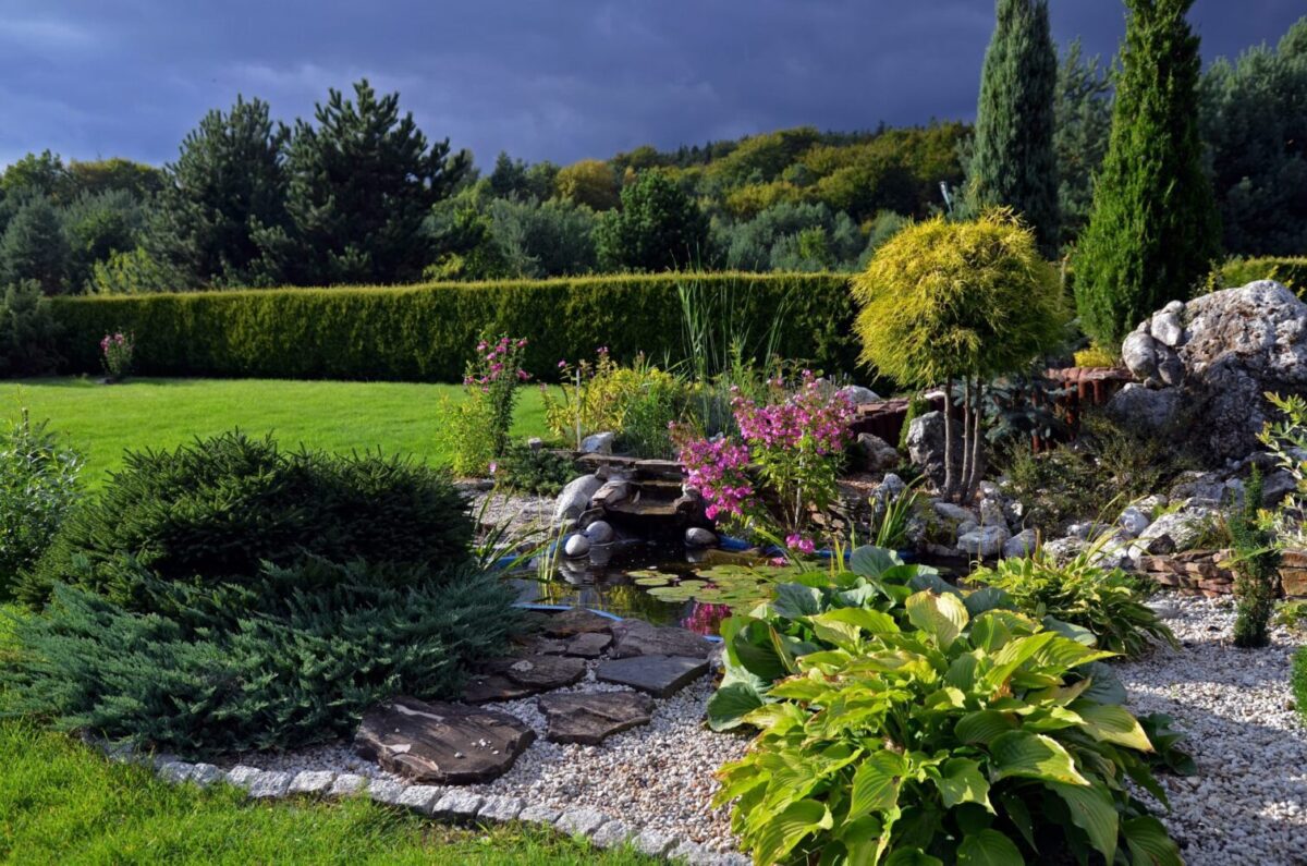 I Giardini Rocciosi Come Fare E Quali Piante Scegliere Notizie In Vetrina