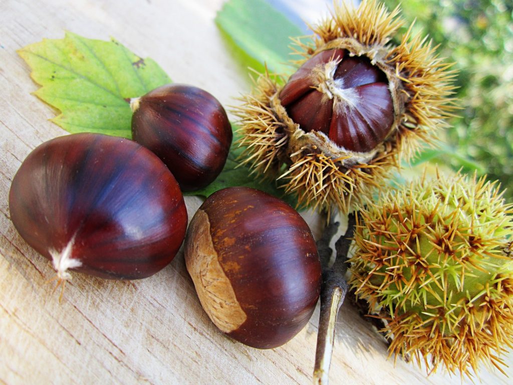 Come preparare la marmellata di castagne