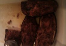 Melanzane gratinate Melanzane gratinate