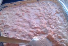 Salmone crudo in agro con yogurt Salmone crudo in agro con yogurt