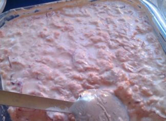 Salmone crudo in agro con yogurt Salmone crudo in agro con yogurt