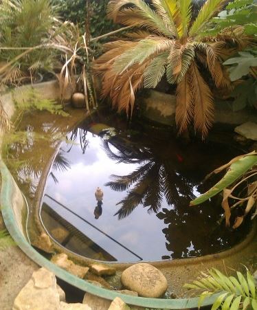 Vasca lago da giardino