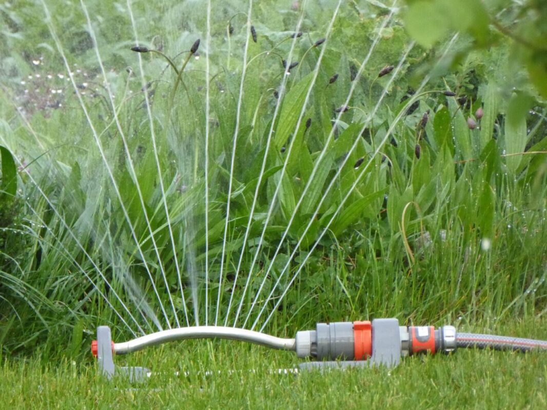 Sistemi d'irrigazione in giardino e in casa: come annaffiare