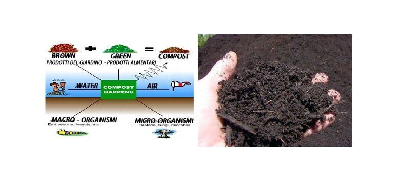 Microorganismi e compost