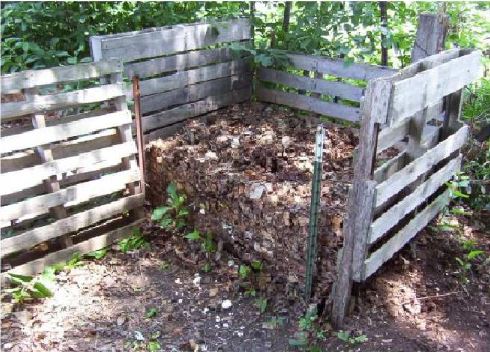 Compost e riciclo: come fare terriccio concimato fai da te