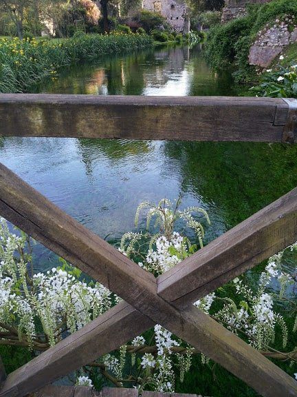 Ninfa Doganella lago e glicine bianco