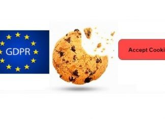 Informativa estesa sui Cookies Privacy e GDPR COOKIES e GDPR