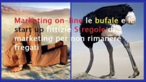 start up e bufale del web