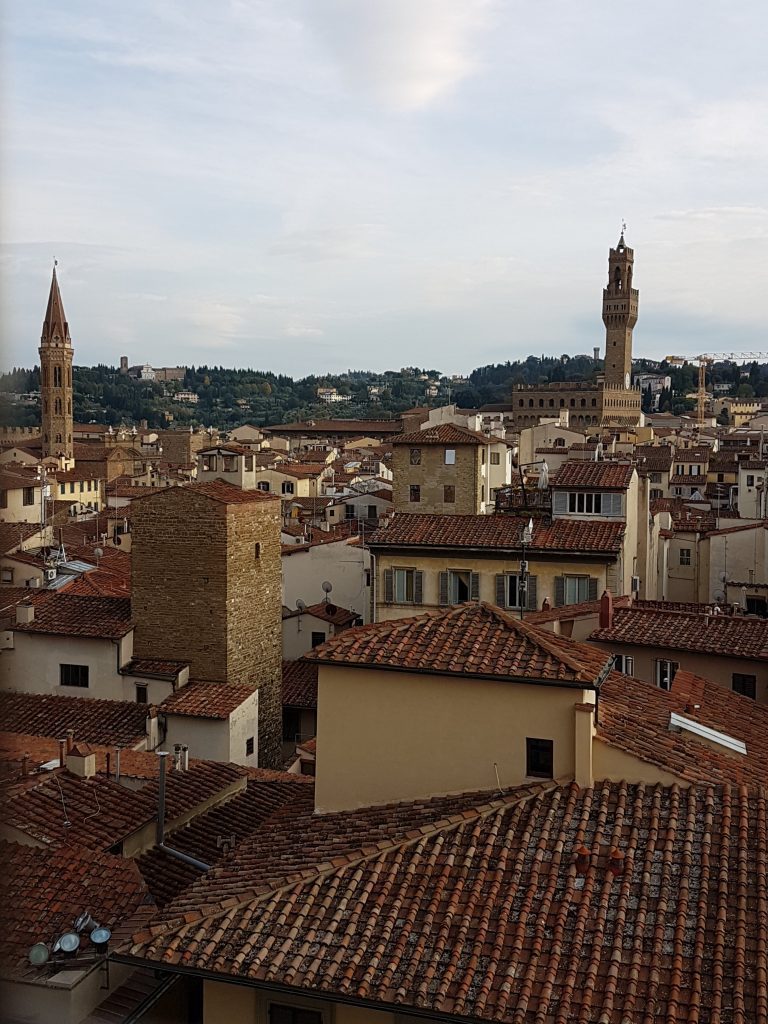 Firenze dall'alto della torre