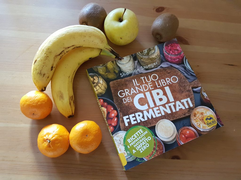 cibi fermentati