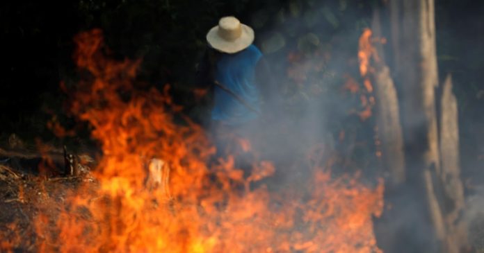 La Foresta amazzonica in fiamme brucia da settimane quali saranno le conseguenze?