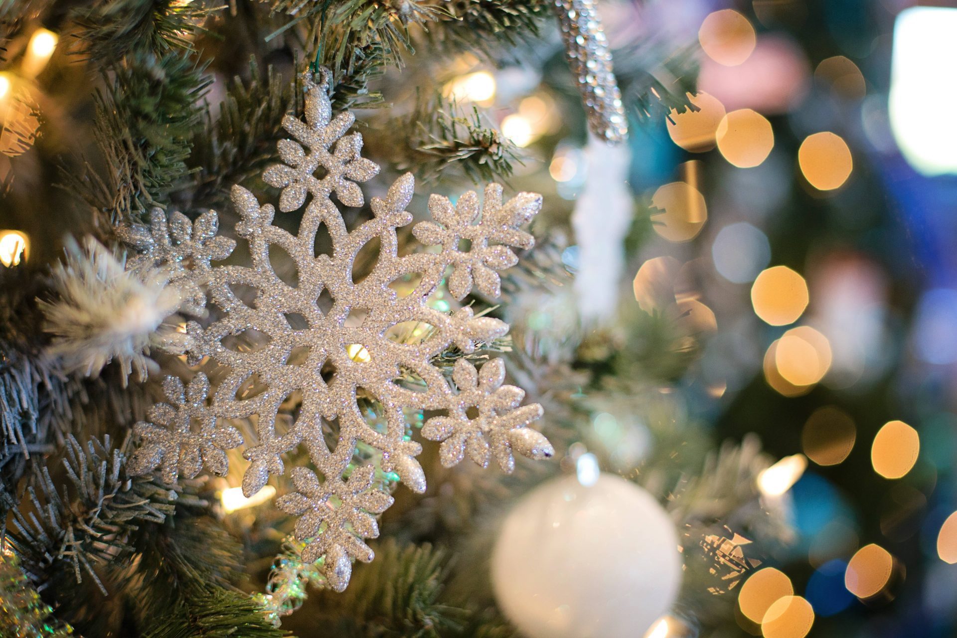 Set di 30 biglietti di Natale in formato DIN lungo, in grigio con alberi di Natale effetto graffio, con buste abbinate, formato DIN lungo, bianco intenso con adesivo
