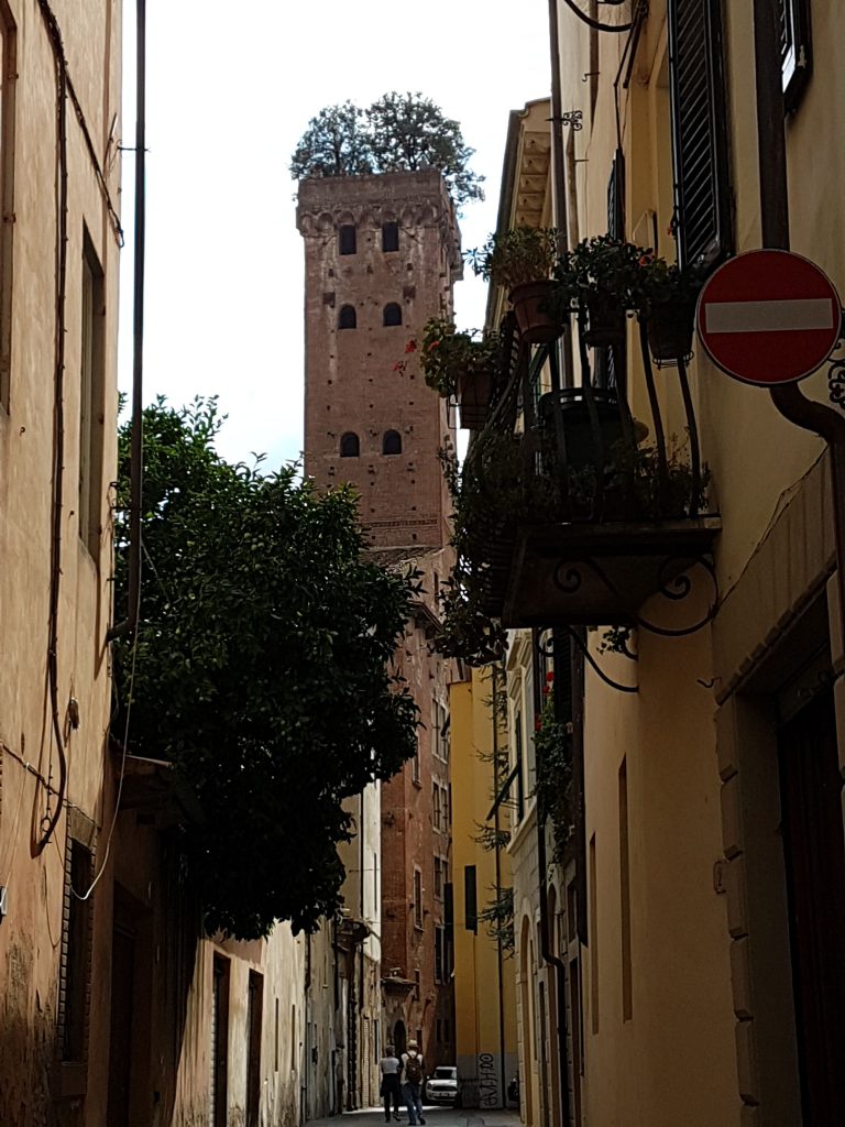 Lucca Torre dei Guinigi