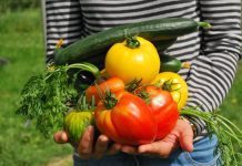 Orto e protezione naturali dai parassiti