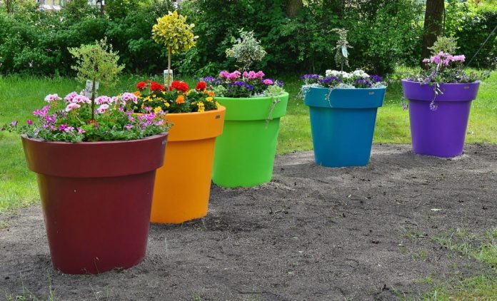 Come scegliere il terriccio giusto per fiori piante e arbusti