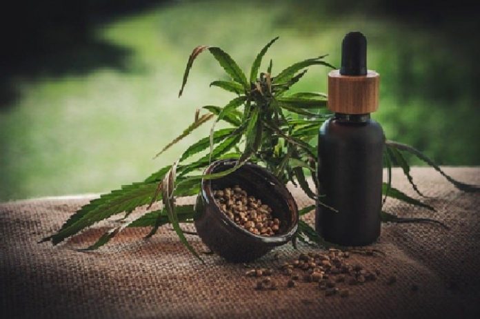 CBD ovvero il cannabidiolo: cos'è e quali proprietà possiede?