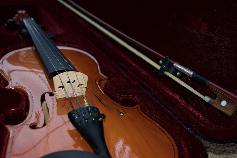 Violino