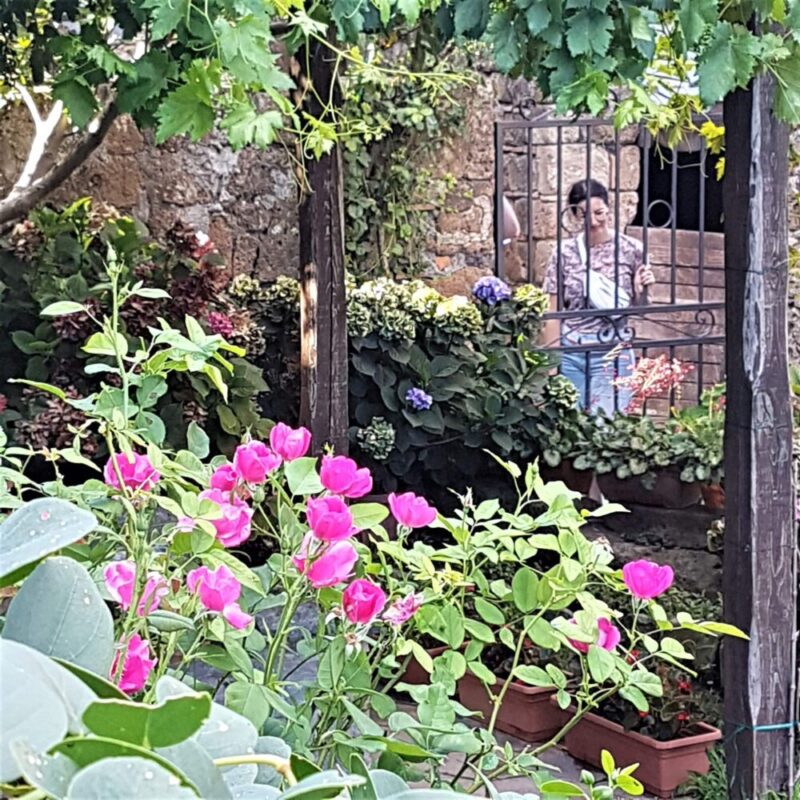 Stella Di Natale Quanta Acqua.Il Giardino In Estate Quanta Acqua Dare A Fiori E Piante Notizie In Vetrina