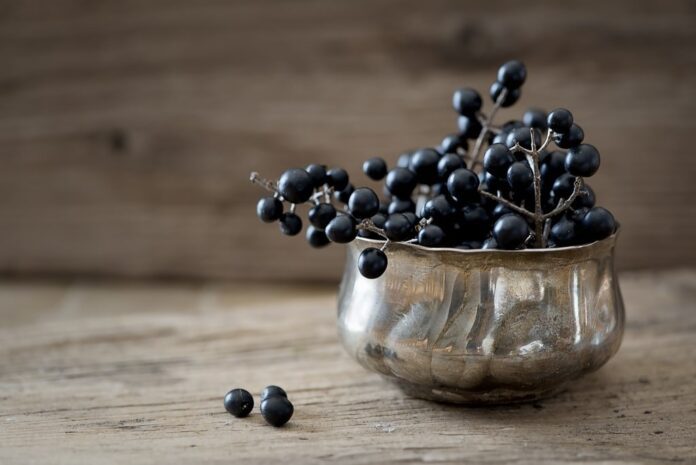 Bacche autunnali da raccogliere: Ginepro, Rosa canina e Crespino