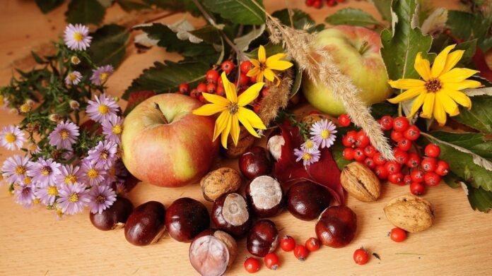 Frutta e verdura in autunno: 8 cibi che fanno bene alla salute