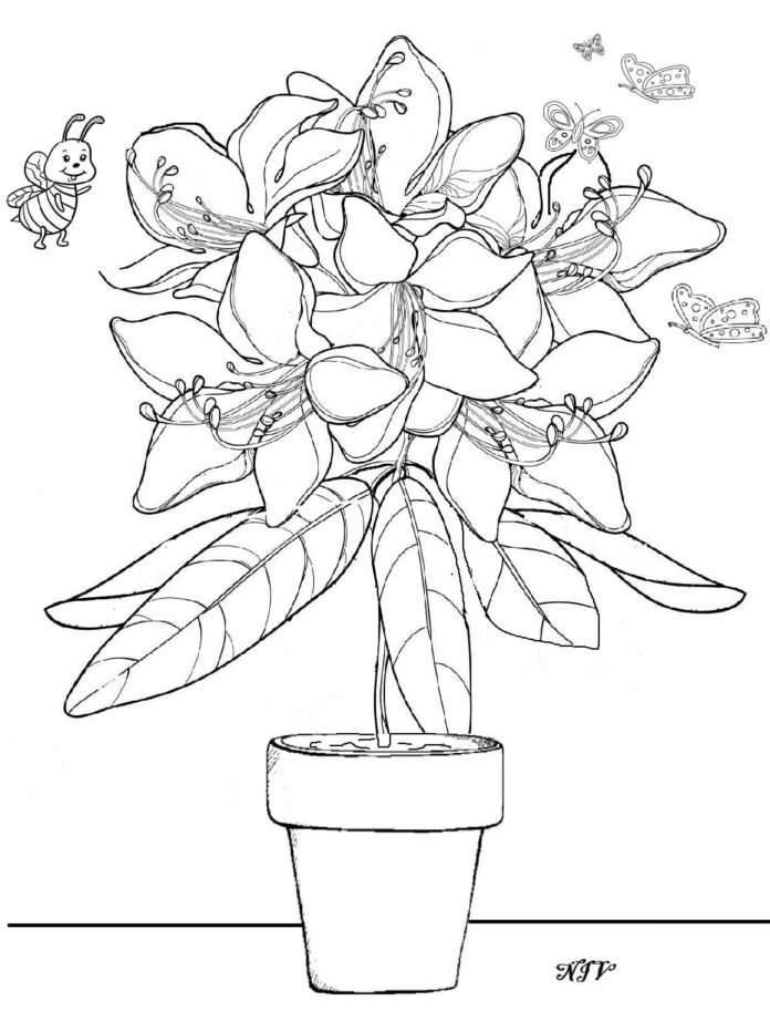 Rododendro disegno da colorare fiore con vaso: Rhododendron