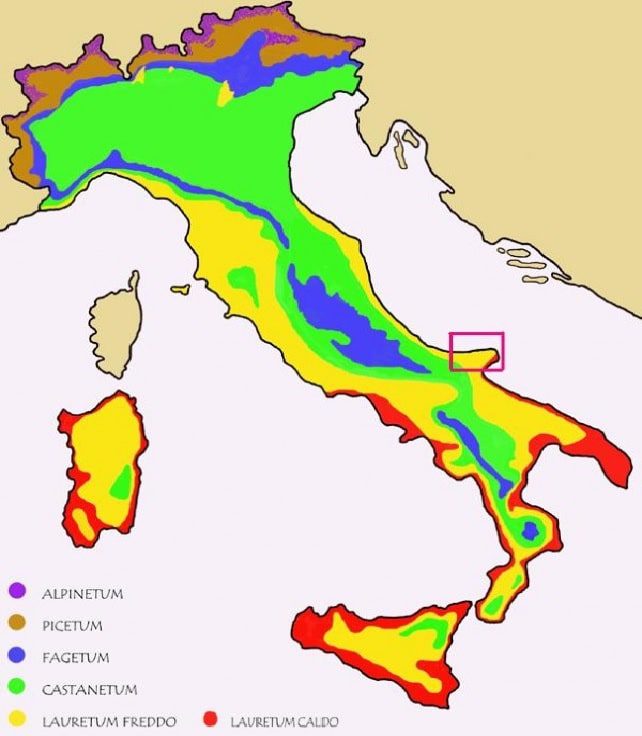 Quali sono le 5 zone fitoclimatiche italiane utili per piante e giardini