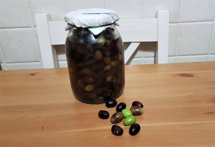 Olive nere sotto sale come conservare le olive in salamoia