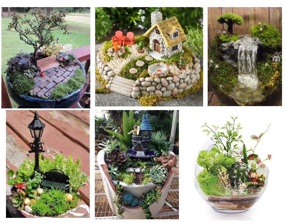 Come realizzare un giardino in miniatura in vaso 