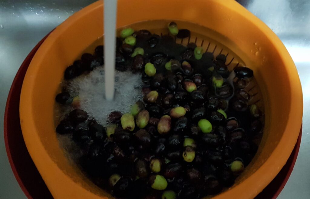 Come lavare le olive