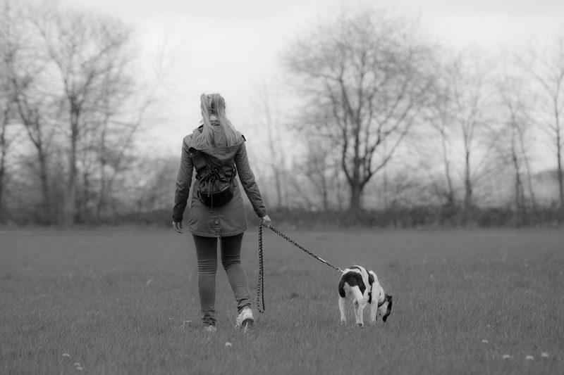 Cane che tira il guinzaglio: i percorsi olfattivi e le regole