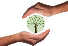 Sognare mano mozzata o amputata significato e numeri sognare mani mozzate