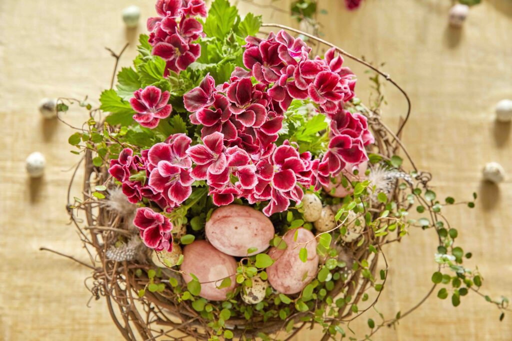 Centrotavola di Pasqua con i fiori di geranio e uova