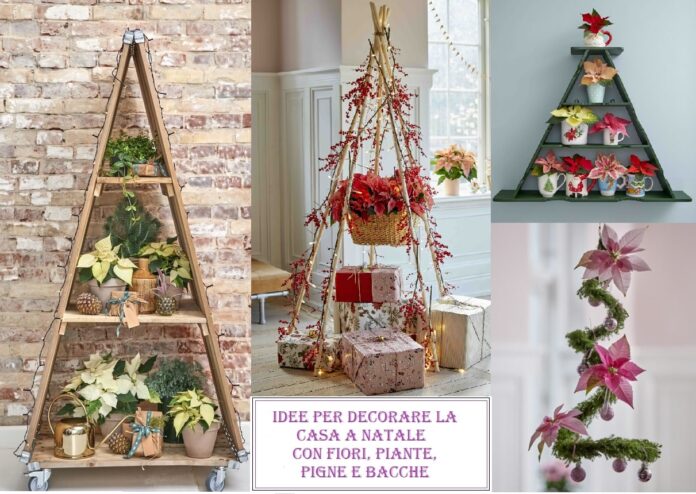 Idee per decorare la casa a Natale con fiori, piante, pigne e bacche