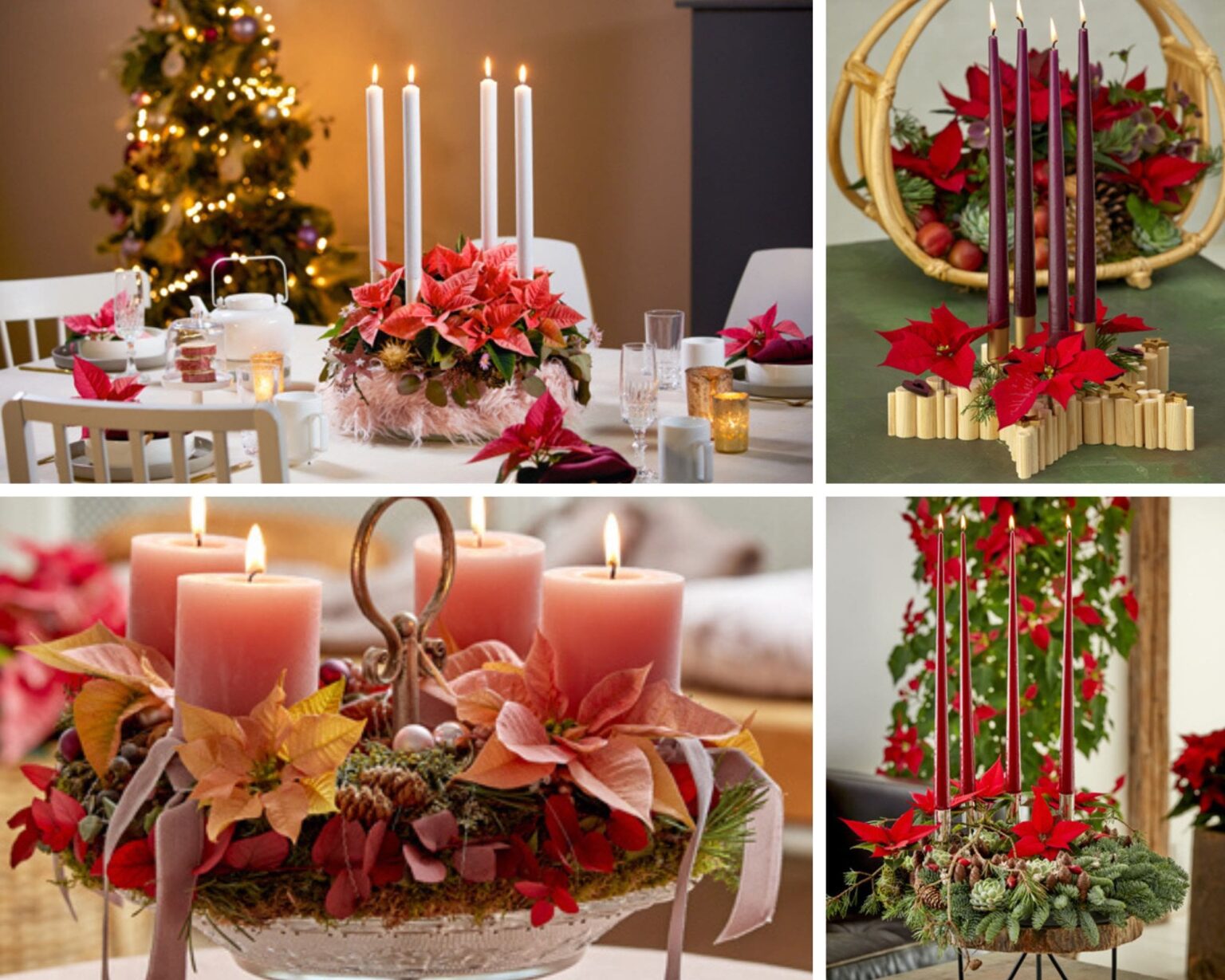 Poinsettia - Set Da 24 Ornamenti A Clip Con Stella Di Natale, Decorazioni Floreali Rosse Per Albero E Casa