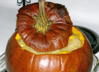 Zucca ripiena alla pompeana al microonde Zucca ripiena alla pompeana al microonde