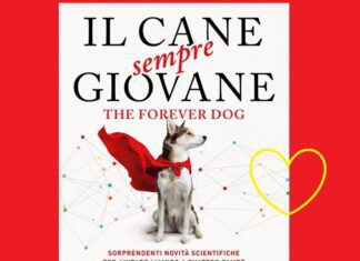 libro sui cani Il Cane sempre giovane