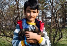 Quale animale scegliere per un bambino