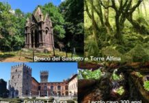 Bosco del Sasseto, Torre Alfina e il Castello: il verde di un bosco incantato nella Tuscia