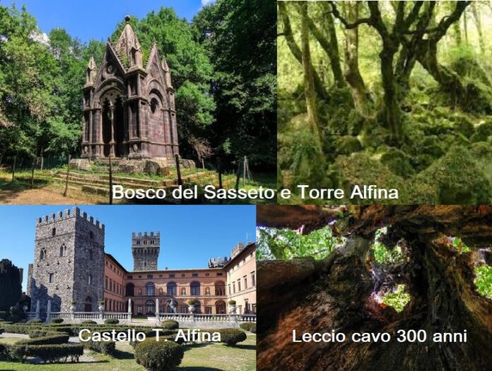 Bosco del Sasseto, Torre Alfina e il Castello: il verde di un bosco incantato nella Tuscia