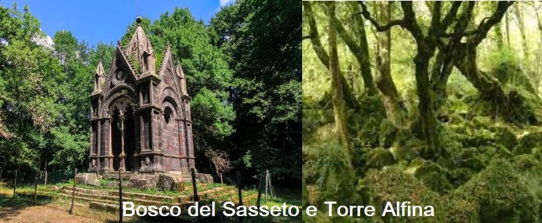 Bosco Monumentale del Sasseto e Torre Alfina