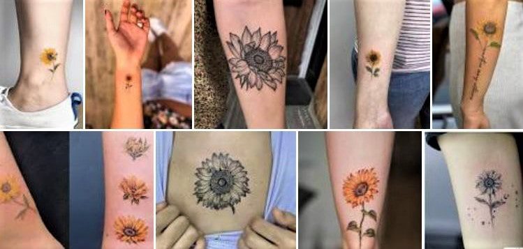 Tatuaggio girasole tipi, stili e colori