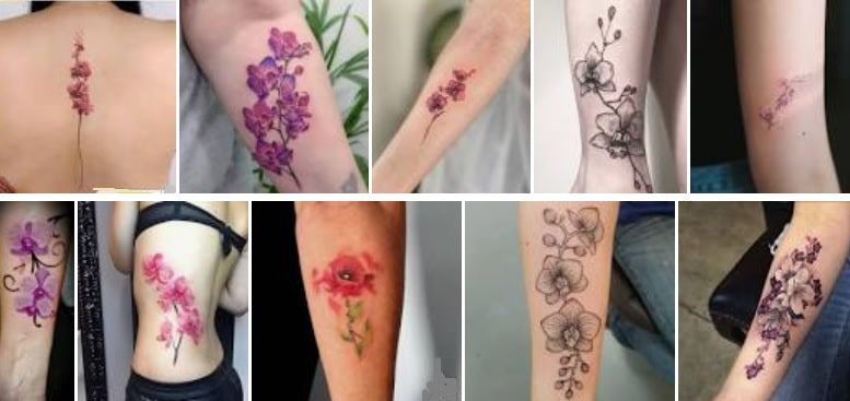 Tatuaggio orchidea e orchidee in ramo tattoo