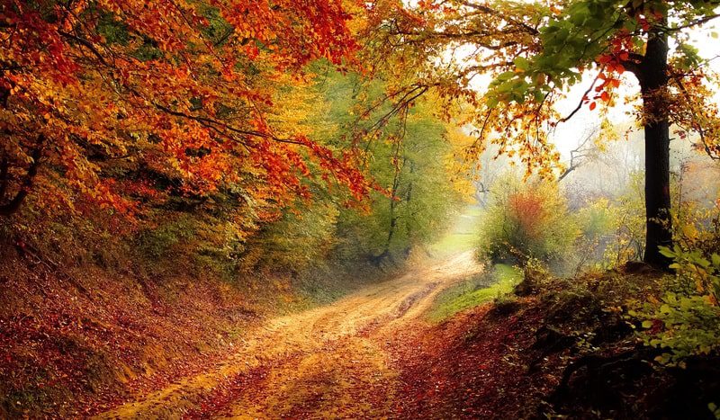 Matrimonio autunno colori e natura