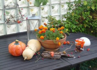 Domeniche di Ottobre e Novembre cosa fare e dove andare in autunno Domeniche di Ottobre e Novembre cosa fare e dove andare in autunno