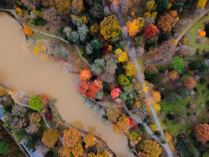 Sognare di precipitare significato, simboli e numeri