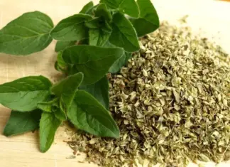 10 erbe officinali: i rimedi naturali più comuni e facili da trovare 10 erbe officinali: i rimedi naturali più comuni e facili da trovare
